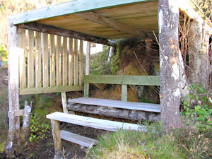 The wildlife hide with sea views